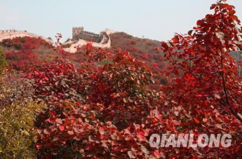 北京赏红叶的公园有哪些地方,赏红叶哪里好