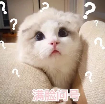 锦鲤为什么那么火,锦鲤为什么火了