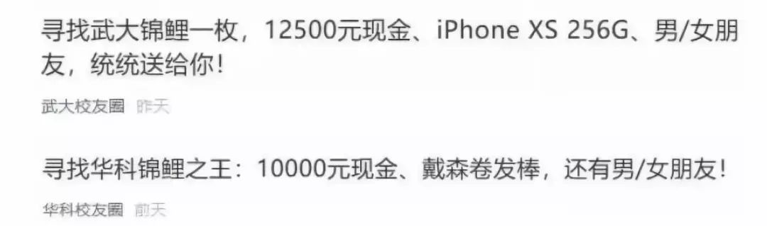 “锦鲤”很忙！*子骗**也没闲着……