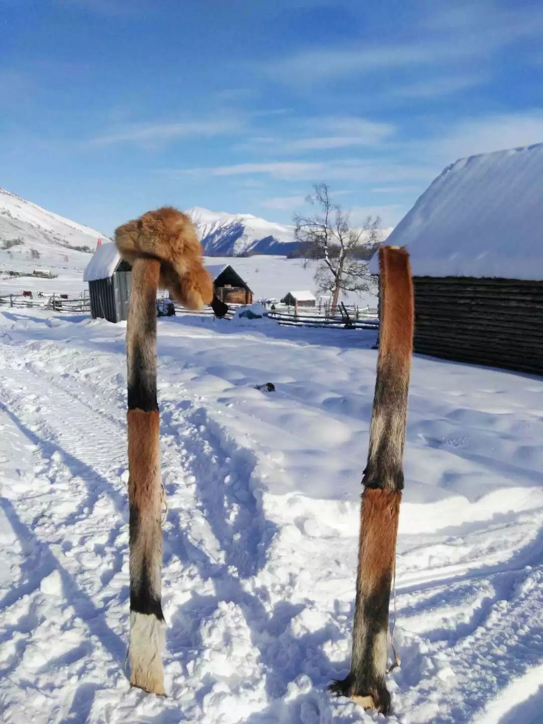 南航新疆新闻,南航今日新闻官方消息