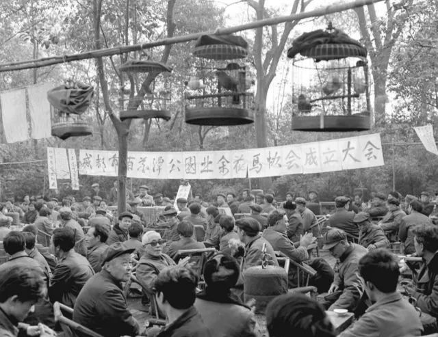 彭镇老茶馆背后的故事,彭镇老茶馆一条街