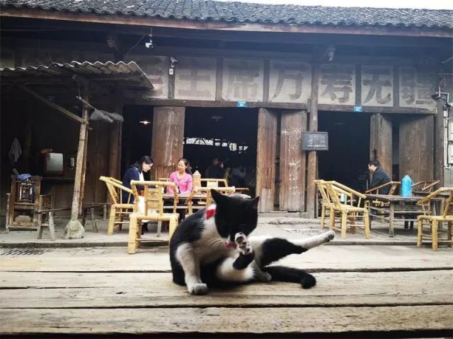 彭镇老茶馆背后的故事,彭镇老茶馆一条街