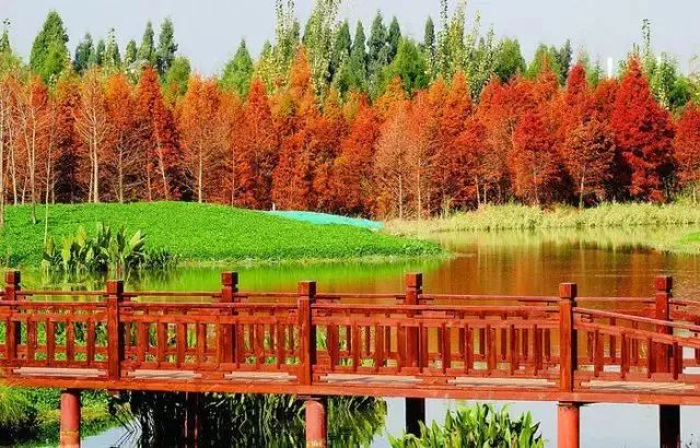 昆明首创奥莱地址,昆明将建100个中心公园名单