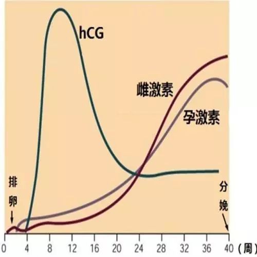 hcg和成卫浴哪里的,hcg卫浴属于什么牌子