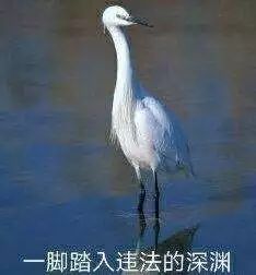 排污管惊现大量废纸币，一神秘男子跳楼……电视剧都不敢这么拍！