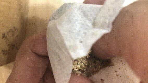 办公室美食人格，你是哪一种？