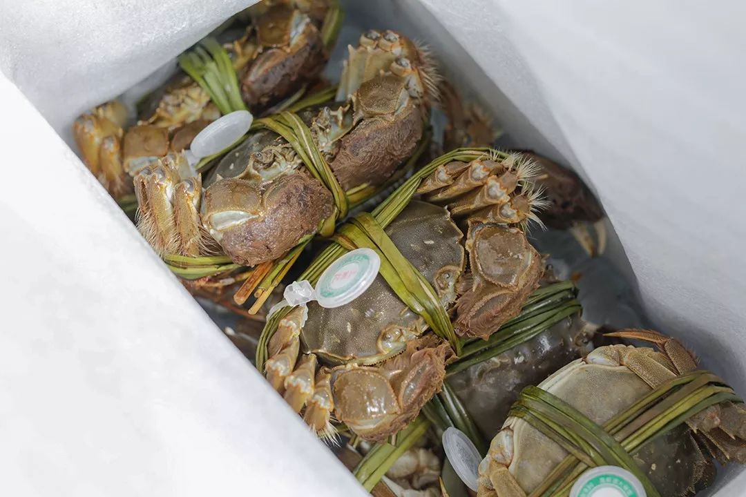 大闸蟹各部位千万别吃图解,大闸蟹这四个部位不建议吃