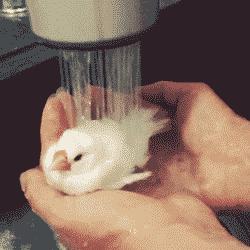 潮湿的天气用小太阳有用么,小太阳真的能降低室内温度吗