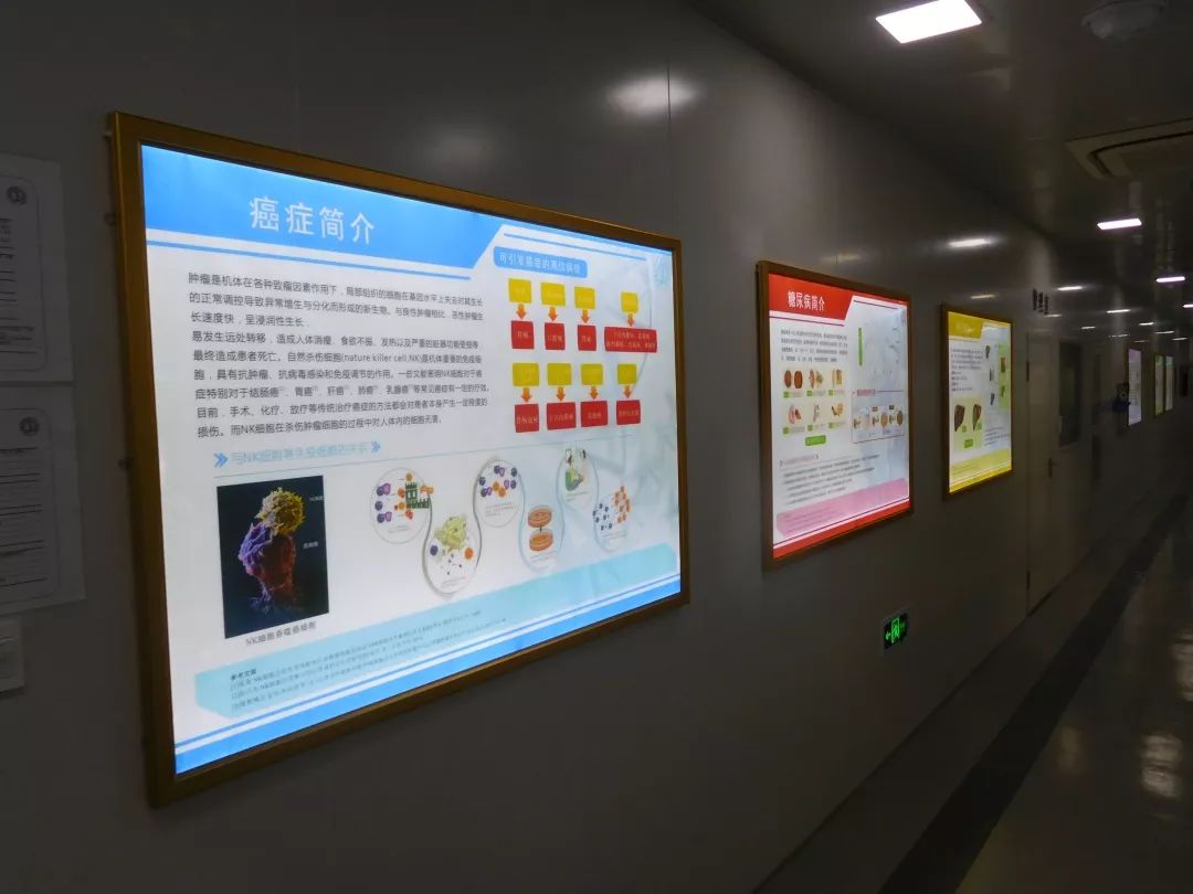 nk免疫疗法癌症,nk免疫疗法和正常细胞的区别