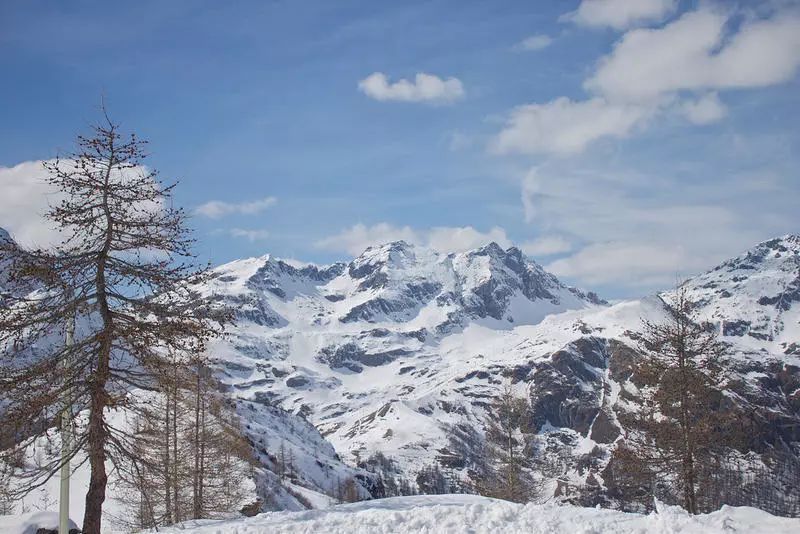 阿尔卑斯凭什么这么火,阿尔卑斯为啥代表爱情