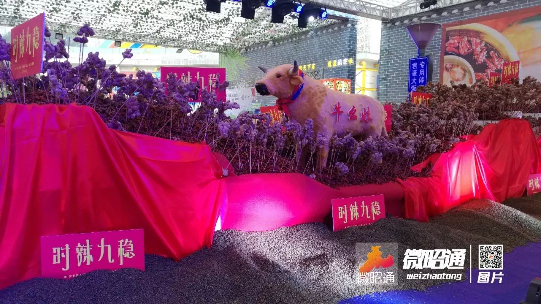 云南彝良苗族相亲,云南昭通彝良00后女孩相亲