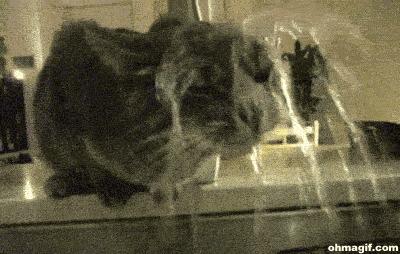 面膜的各种功效真的有用吗,面膜要不要买各种功效的