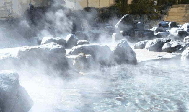 红河州泡温泉附近哪里好玩又便宜,红河弥勒温泉推荐