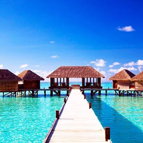 书讯最新消息,书讯大全免费阅读