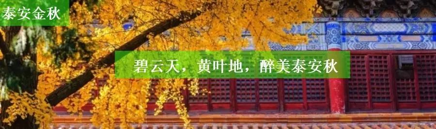 泰山世界古典汽车博览馆老爷车,泰山汽车博物馆开放时间表