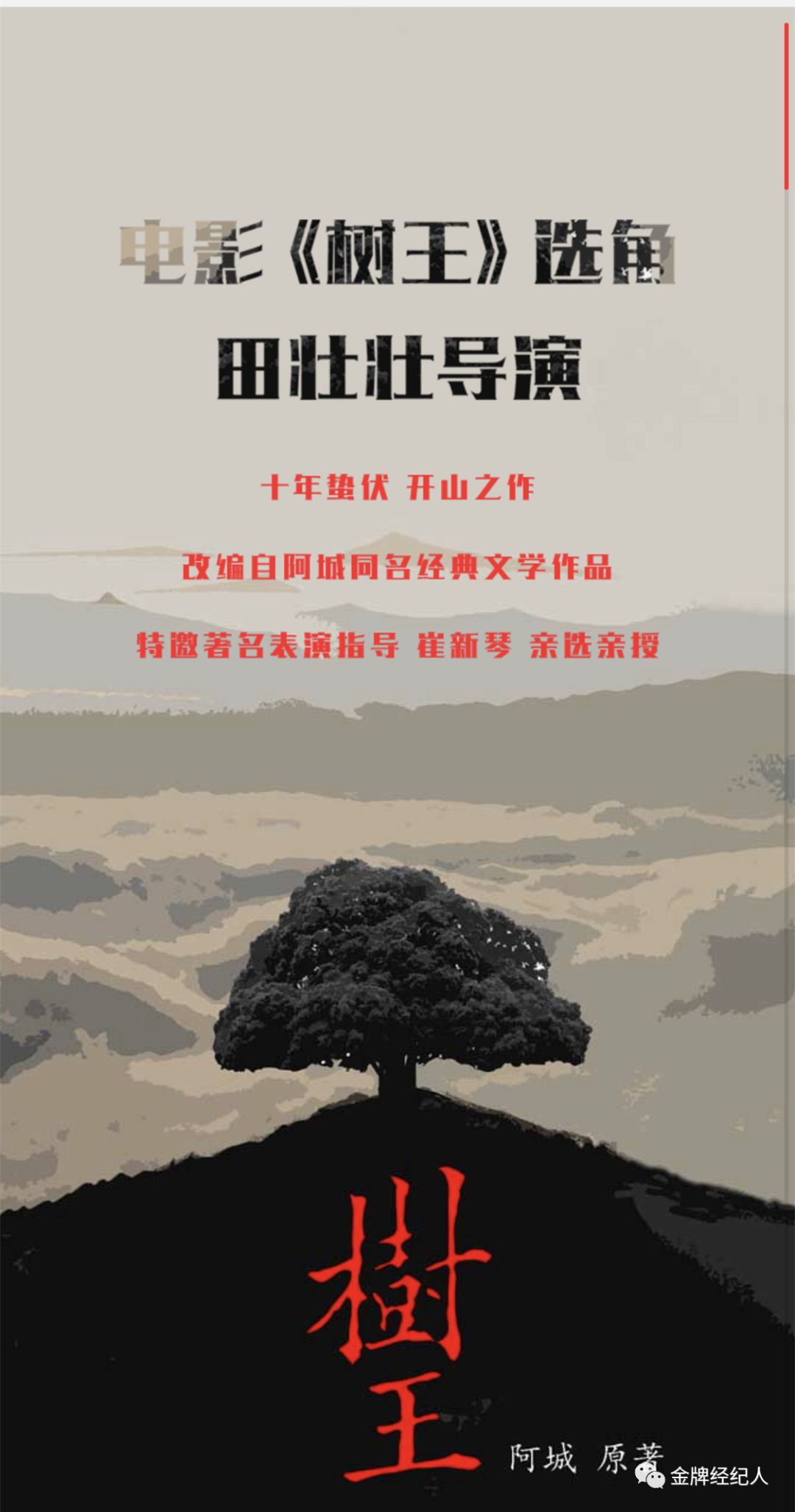 田壮壮新片海选,田壮壮执导的电视剧