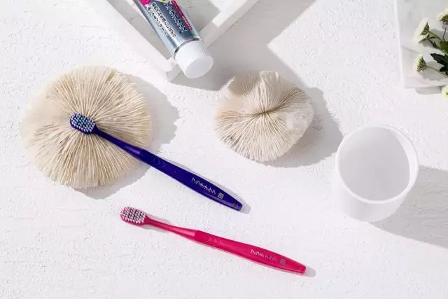 日本必买的牙刷 (双十一必买的牙刷)