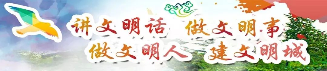 济南新西市场干啥的,新西市场怎么样