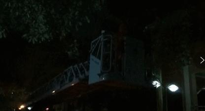 东莞清溪马蜂,清溪找马蜂