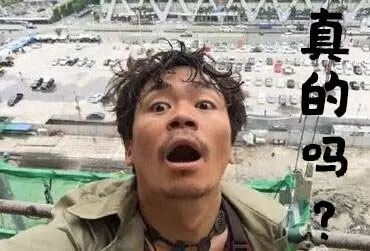 养宠小知识狗狗耳朵有螨虫的表现,养宠知识狗狗伤口怎么处理