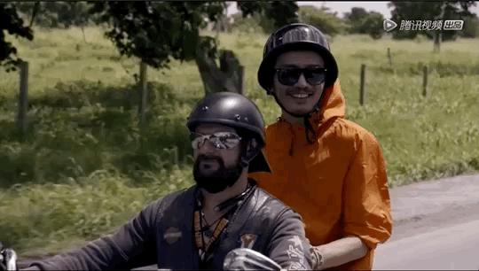 为什么朴树这么火,为什么朴树价格这么高