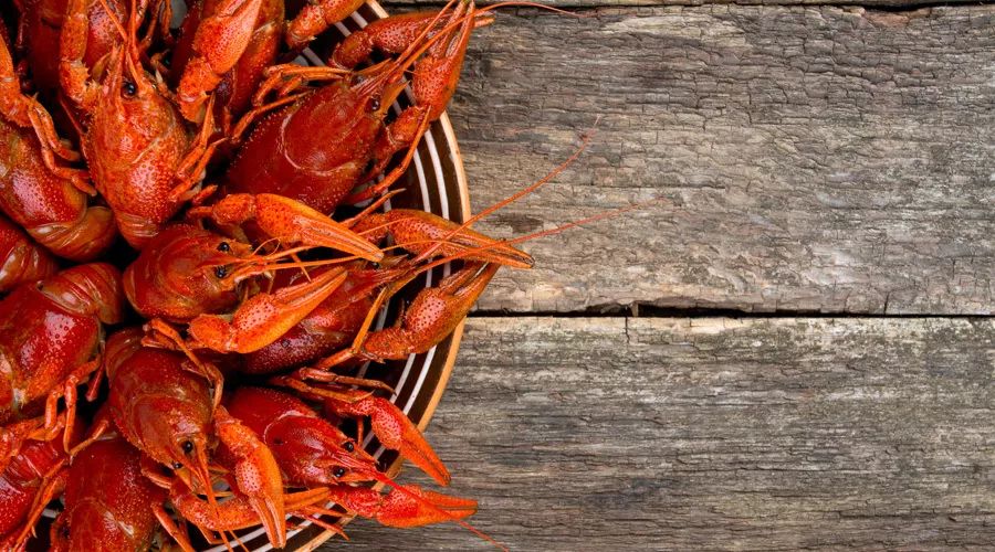 涓嶅瓭鏈変笁杈熻埃涓哄ぇ,涓嶅瓭鏈変笁杈熻埃