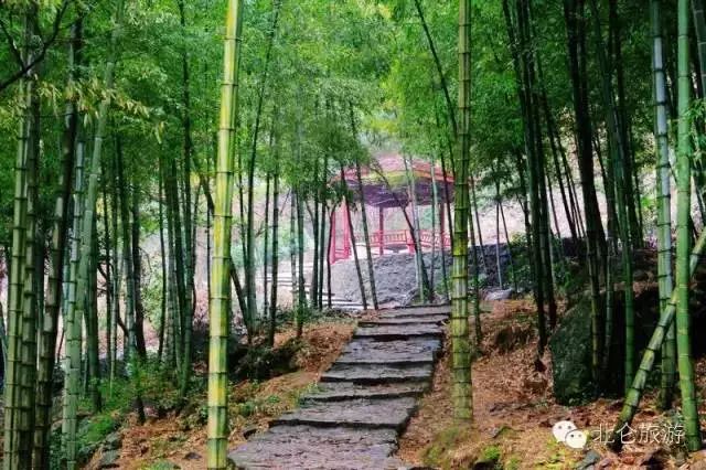 爱爬山的人都爬什么山,爱爬山的山里人完整版