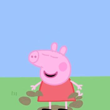 猪猪日常是怎样的,猪猪是怎么制定学习计划