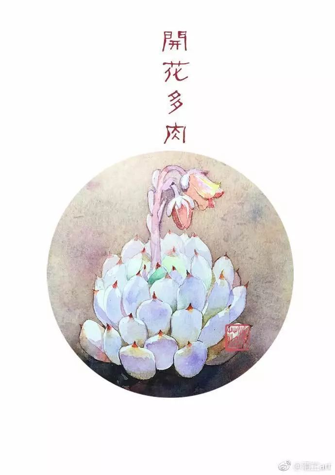 多肉上色太漂亮了,多肉上色前后对比