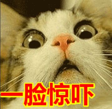 ugg被处罚后续,ugg出事了怎么处理