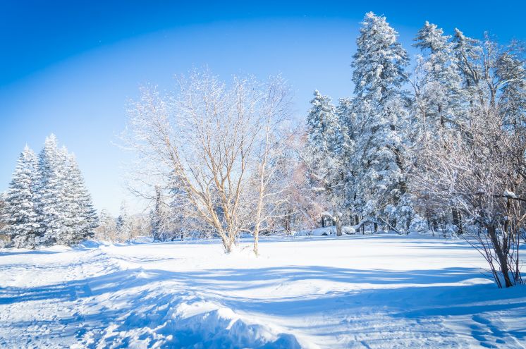 刘烨旅游,刘烨一家四口出游