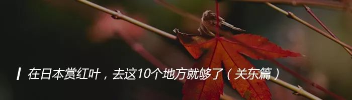日本推出能遮住女性大胸的新作，男网友：尽是出些没用的东西！