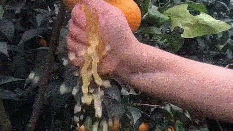 销量超20万网红爆款零食,网红爆款零食销量第一