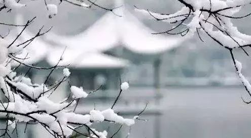 你的姓氏里也藏着一句最美的情话,姓氏的句子唯美短句