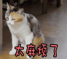 快来说说你的手机号码用了多久了,你的手机号码用了几年怎么查看