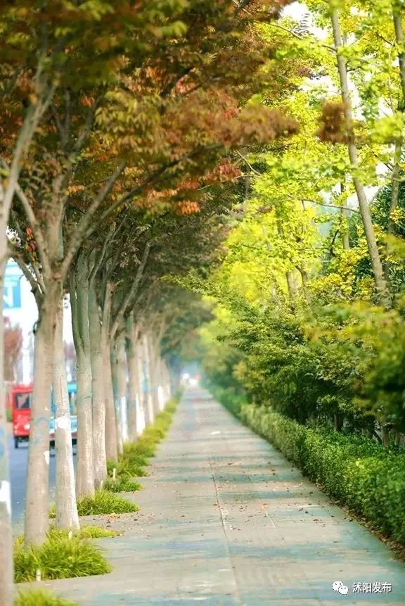 宿迁沭阳：这份“绿色福利”你值得拥有~