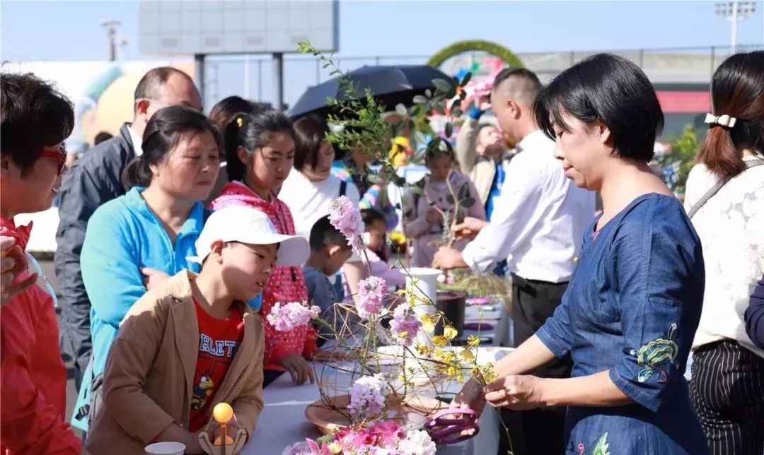 体育中心看展菊,在体育中心玩乐的一天