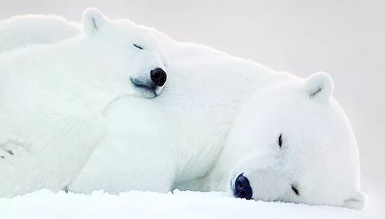 有了羽绒服不会冷了,有了羽绒服不会冷吗