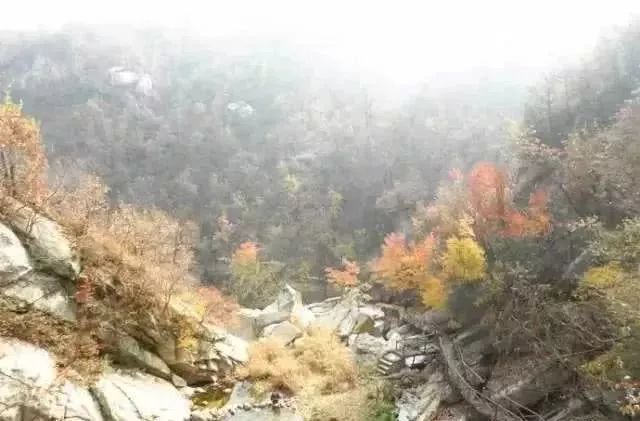 河南秋天红叶最美的地方有哪些,河南秋天最美红叶景区