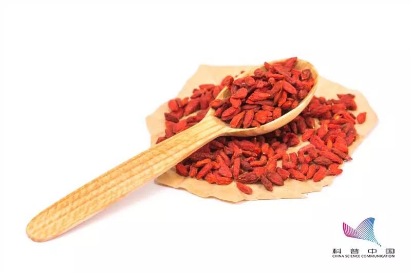 抗癌食物是真的还是假的,抗癌食物是真的么