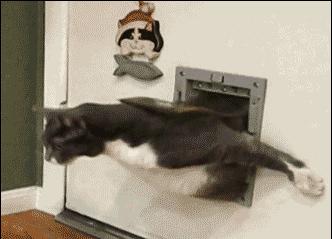 键盘上的字母顺序怎么来的,为什么键盘上的字母不是顺序来的