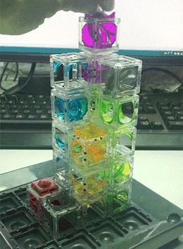 双11好物推荐玩具,双11要囤的玩具