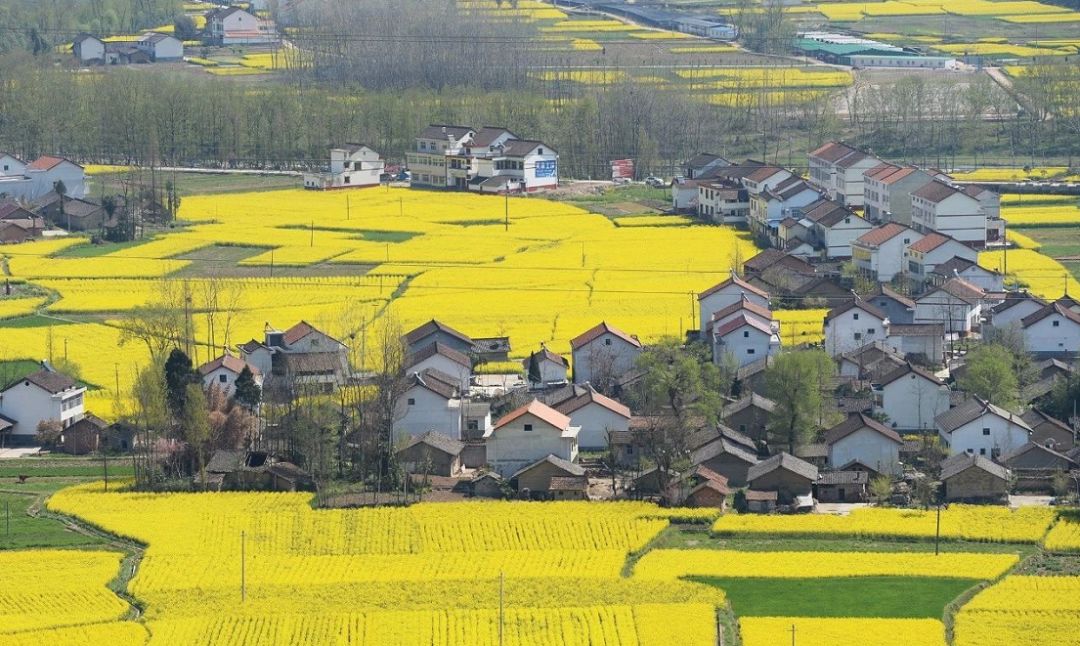汉中这几天有啥好玩的,5月的汉中有哪些好玩的地方