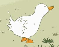 防城港的鸭子，为什么怕“七月十四”？