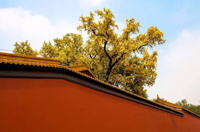 南京最美赏秋地点,南京赏秋之旅