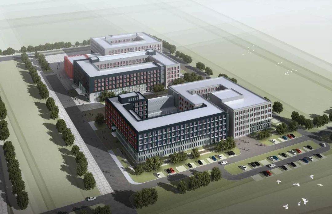 仙林崛起,仙林2020