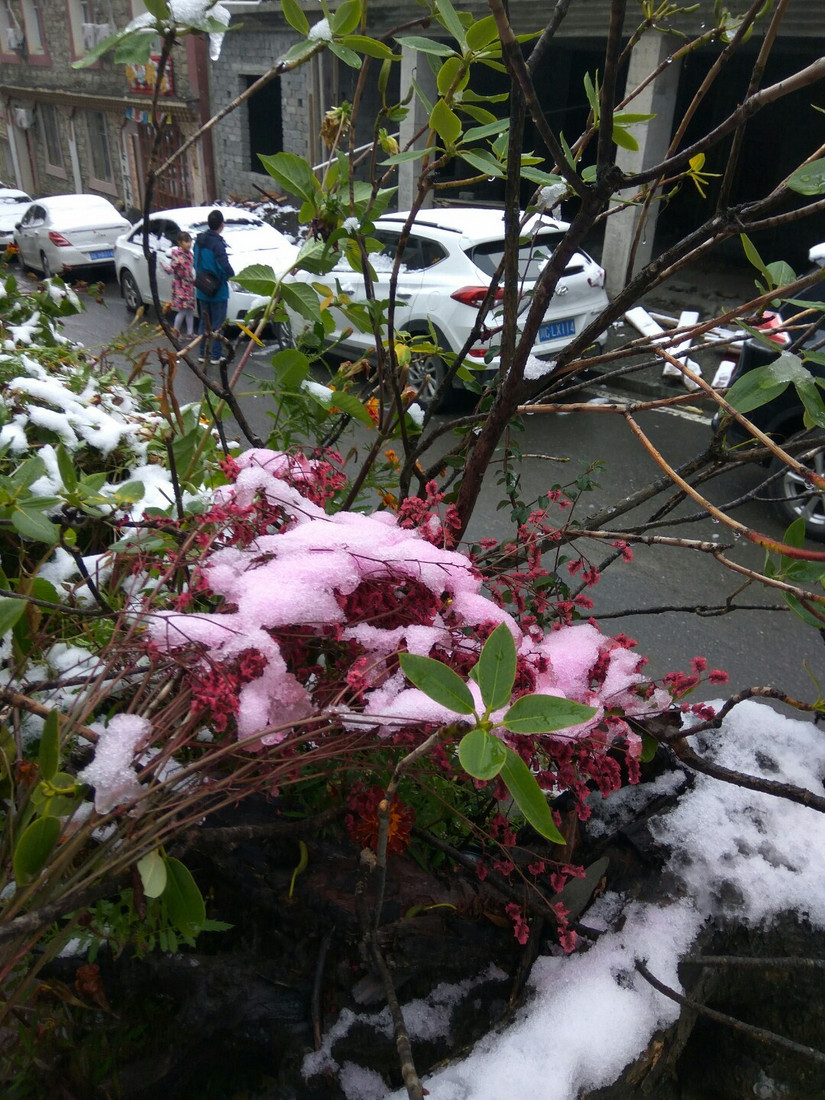 国庆流水账日记,中秋国庆流水账