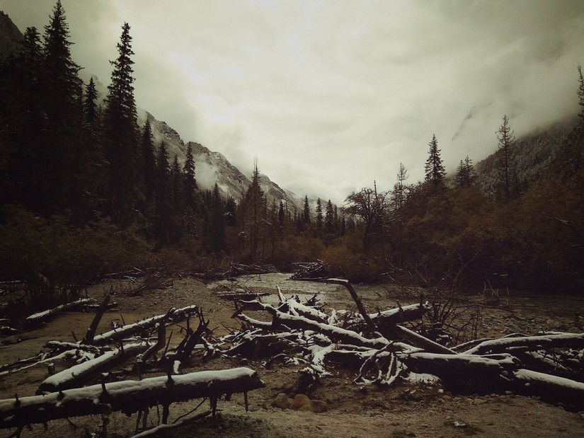 国庆流水账日记,中秋国庆流水账