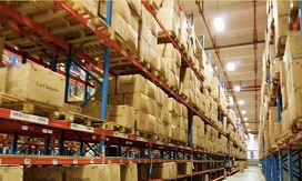 娼墝champion鏂版,娼墝champion