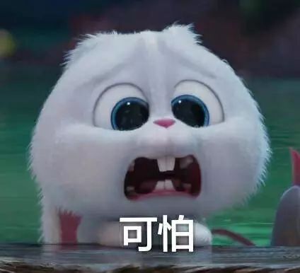 中大高材生自爆住公屋无前途？原来香港丈母娘也爱房子！